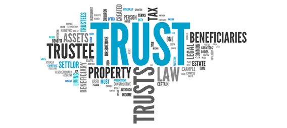 Wordcloud Trust